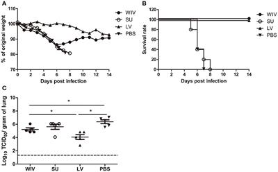 Cross-Protective Immune Responses Induced by Sequential Influenza Virus Infection and by Sequential Vaccination With Inactivated Influenza Vaccines